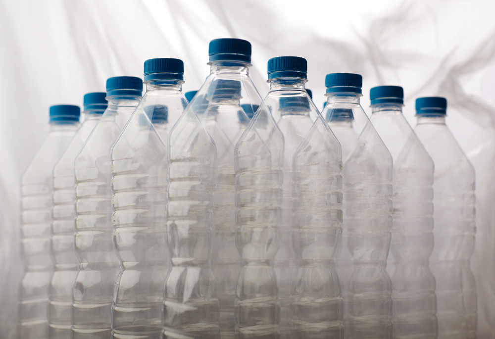 Transforma Botellas en Macetas y Más