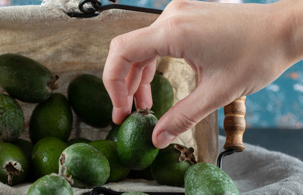 Cómo Germinar un Aguacate en Casa desde el Hueso
