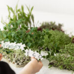 Crear un Mini Jardín de Hierbas