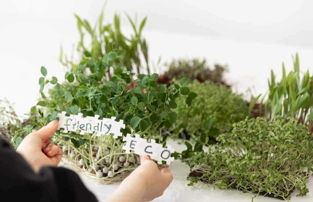 Crear un Mini Jardín de Hierbas