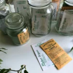 Hierbas Medicinales en Casa