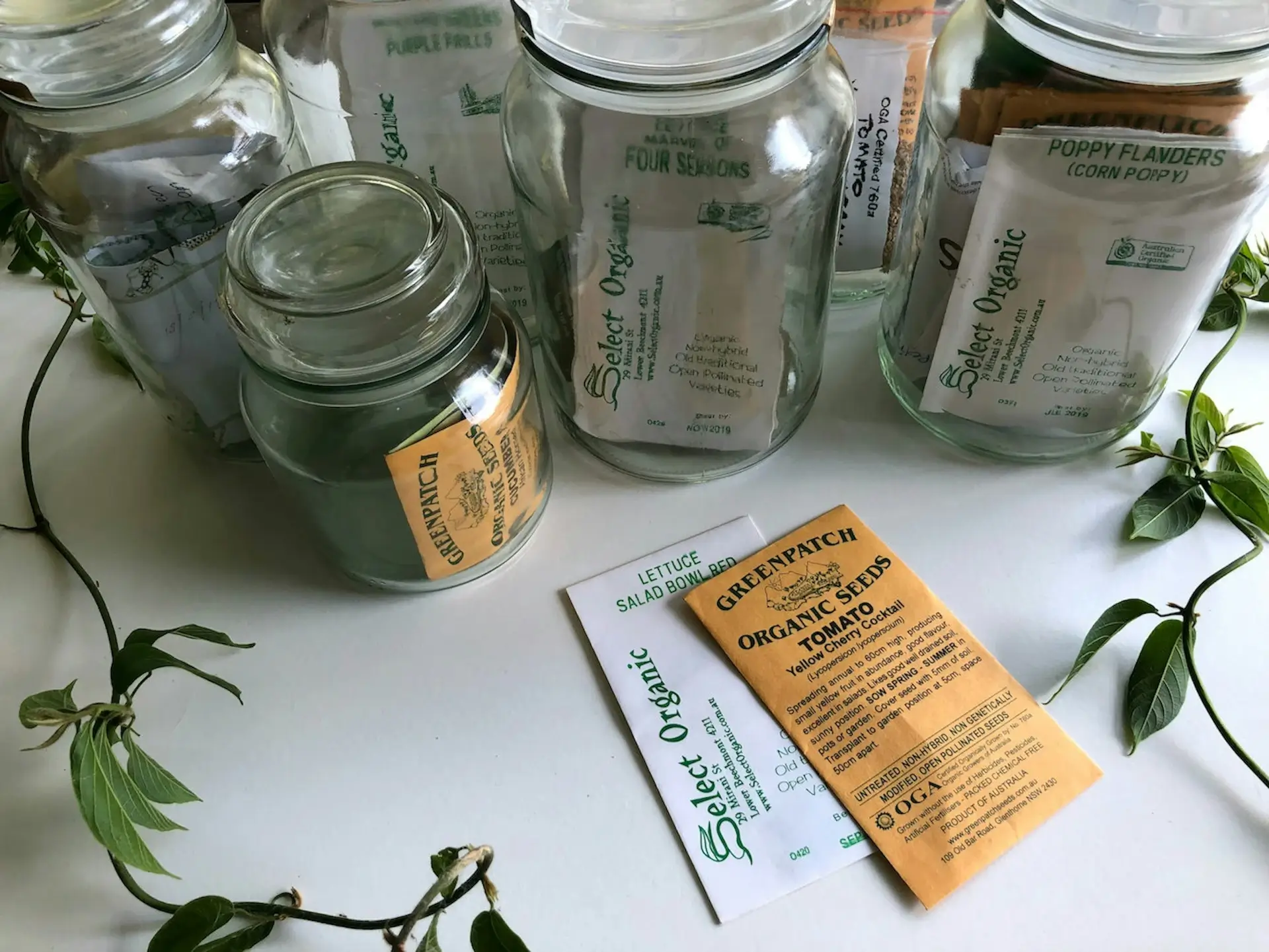 Hierbas Medicinales en Casa