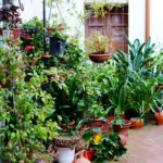 Jardín de Hierbas en Casa