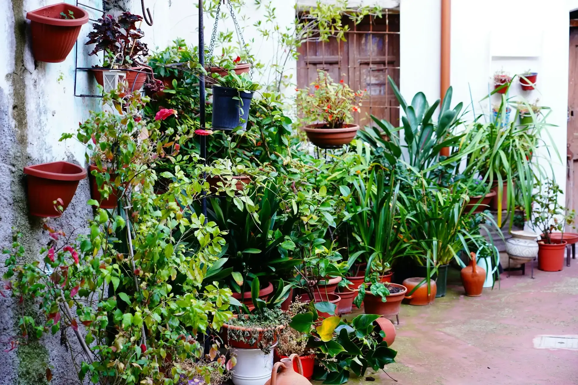Jardín de Hierbas en Casa