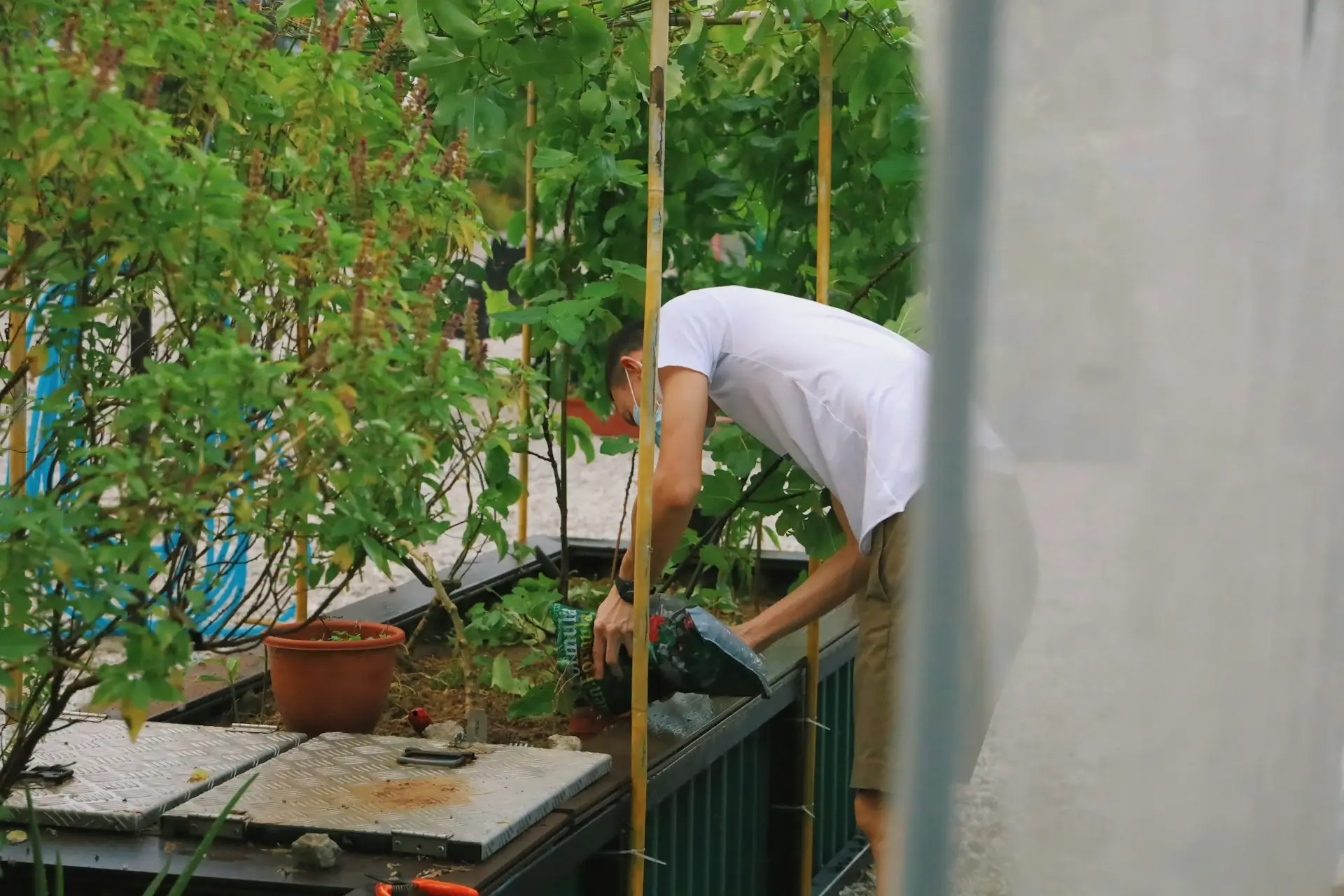 Jardinería Urbana