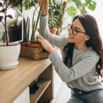 Jardinería en Apartamento