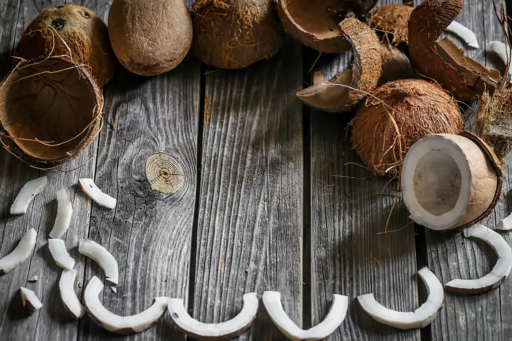 Macetas con Cáscaras de Coco