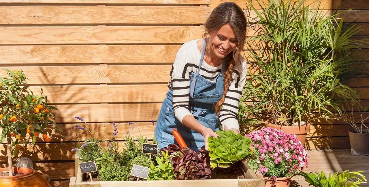 Jardinería Anti-Estrés