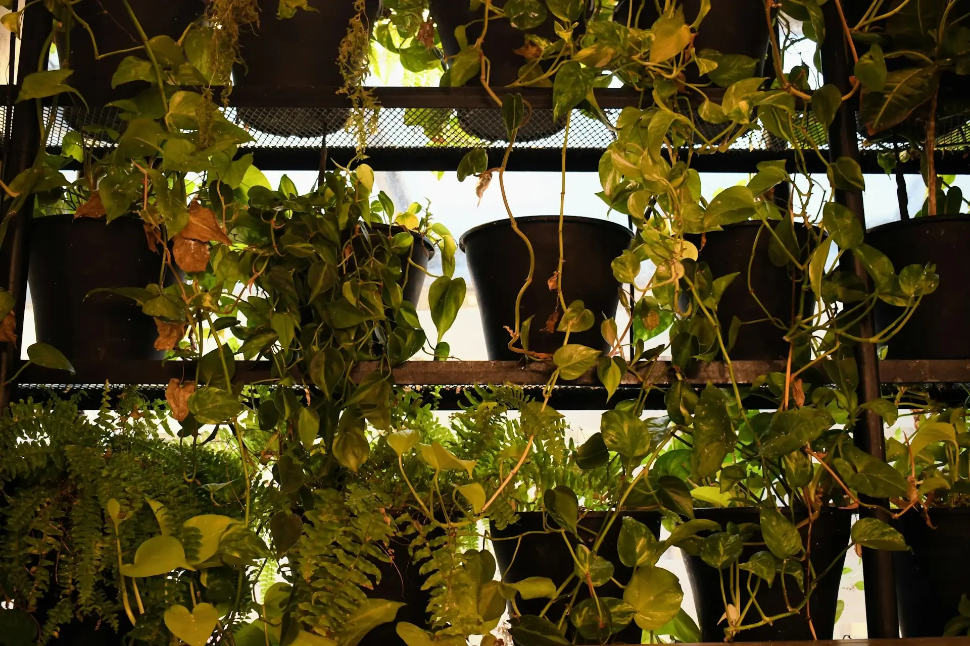 Jardines Verticales en Apartamentos