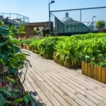 Jardín Urbano: Transforma Espacios City en Oasis Verdes Sostenibles