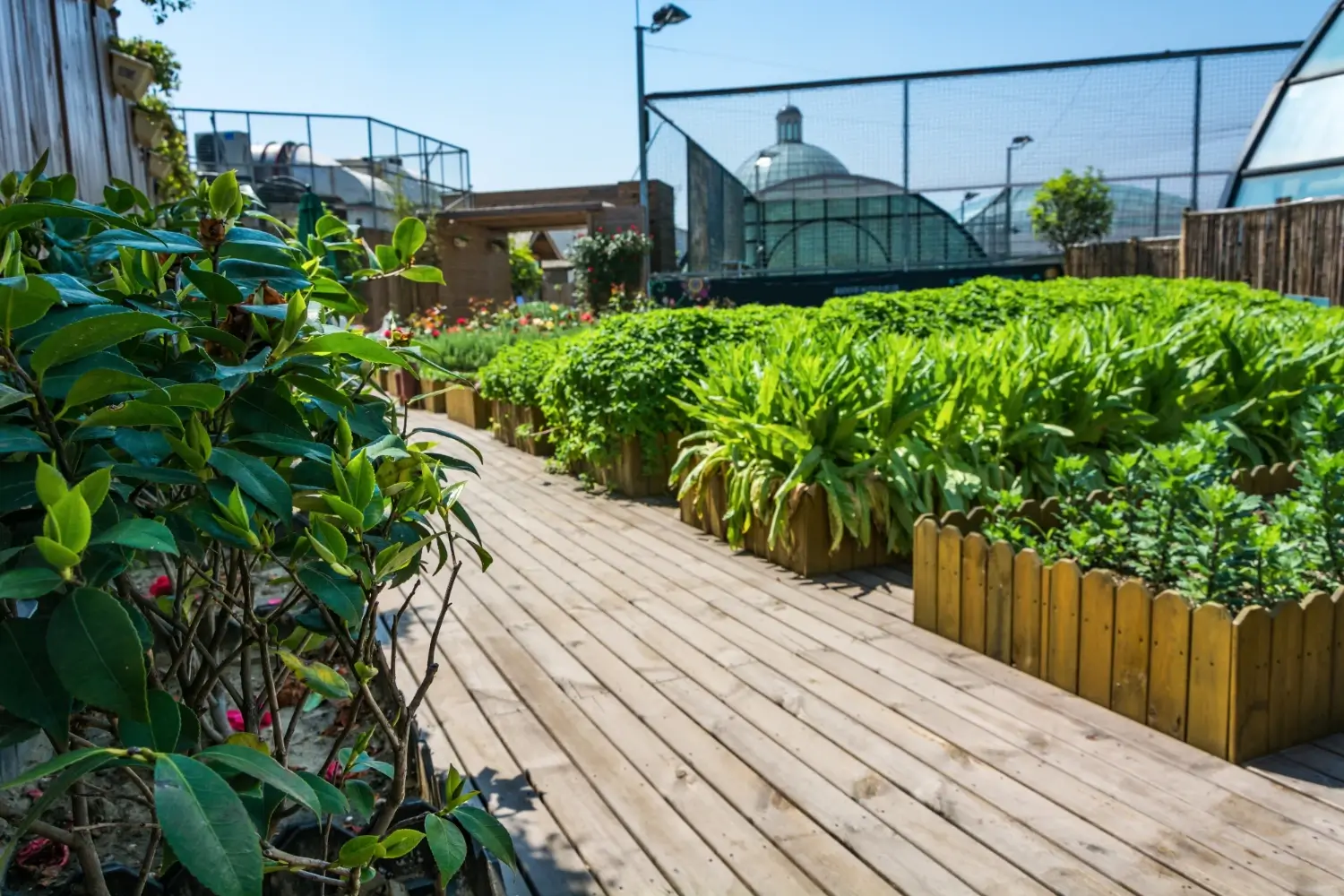 Jardín Urbano: Transforma Espacios City en Oasis Verdes Sostenibles