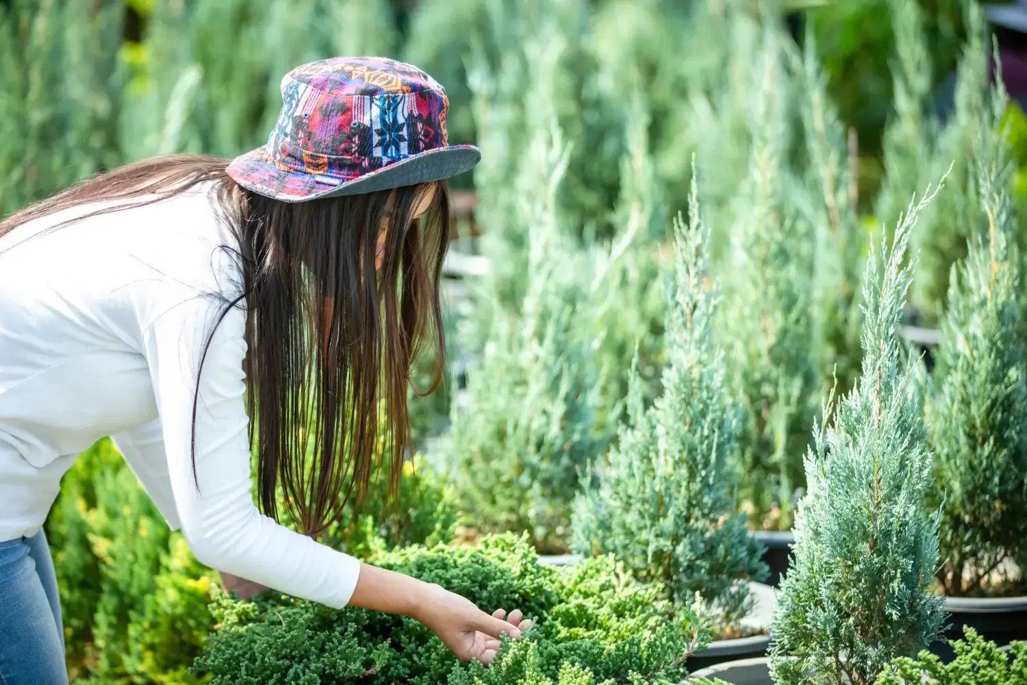 Huerto en 1m²: Cultiva Hierbas Aromáticas en tu Cocina 🌿
