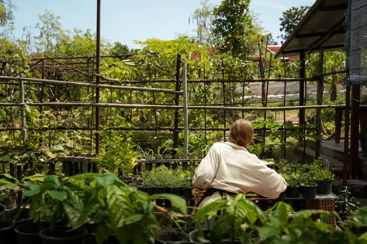 Jardinería Minimalista: 7 Principios para un Apartamento Verde
