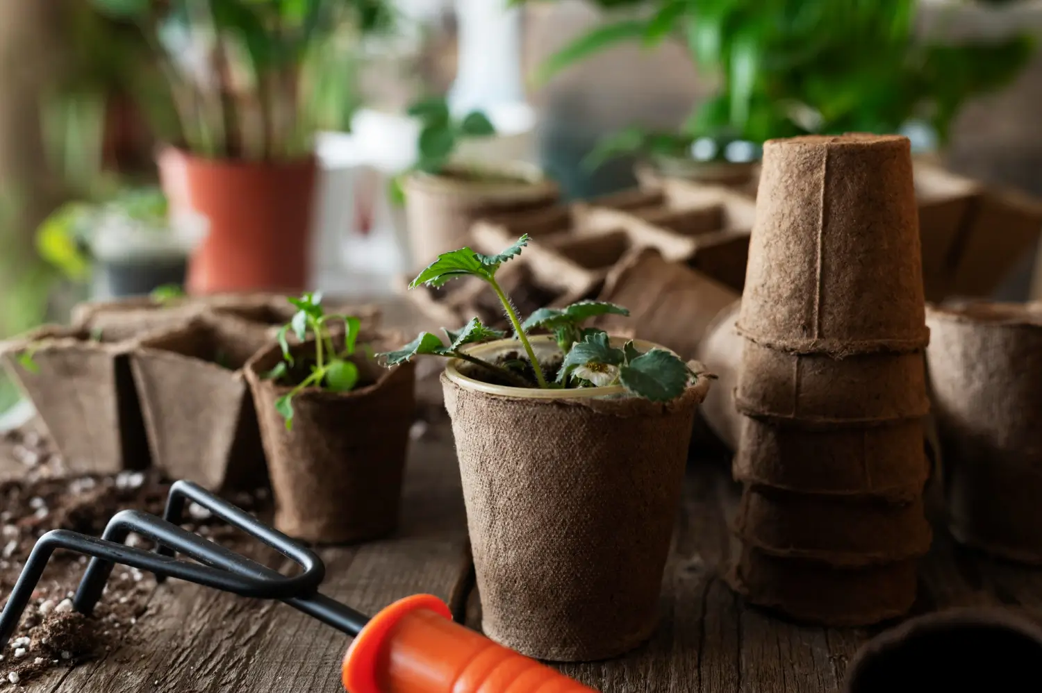 10 Ideas de Macetas Recicladas para tu Jardín Urbano